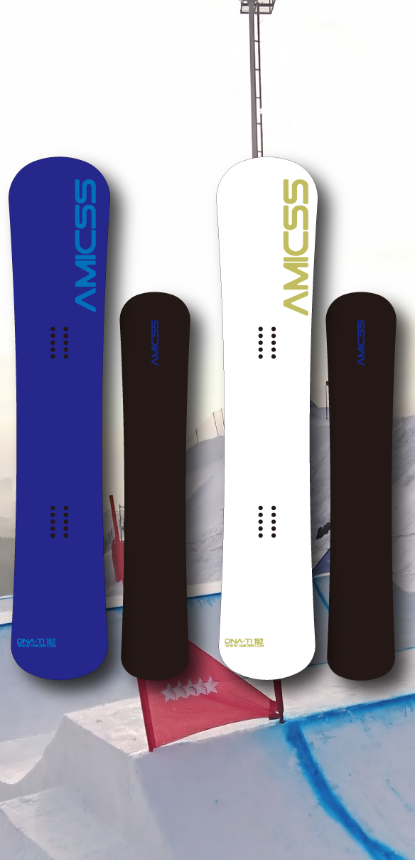 23-24 AMICSS DNA ti 161